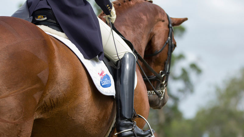 Explore - Queensland State Equestrian Centre