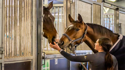 Australian Youth Dressage Championships 2024