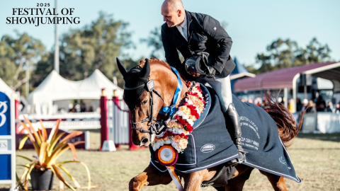 A man in a black coat is standing up in the strips as he is riding a horse. The horse is wearing a black coat and flowers around its neck, its head is slightly down and the tail is swishing. There are marquees in the background.