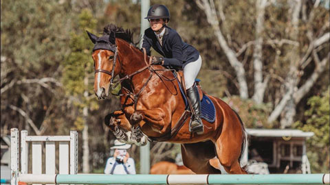 Horse and rider mid jump over a barricade